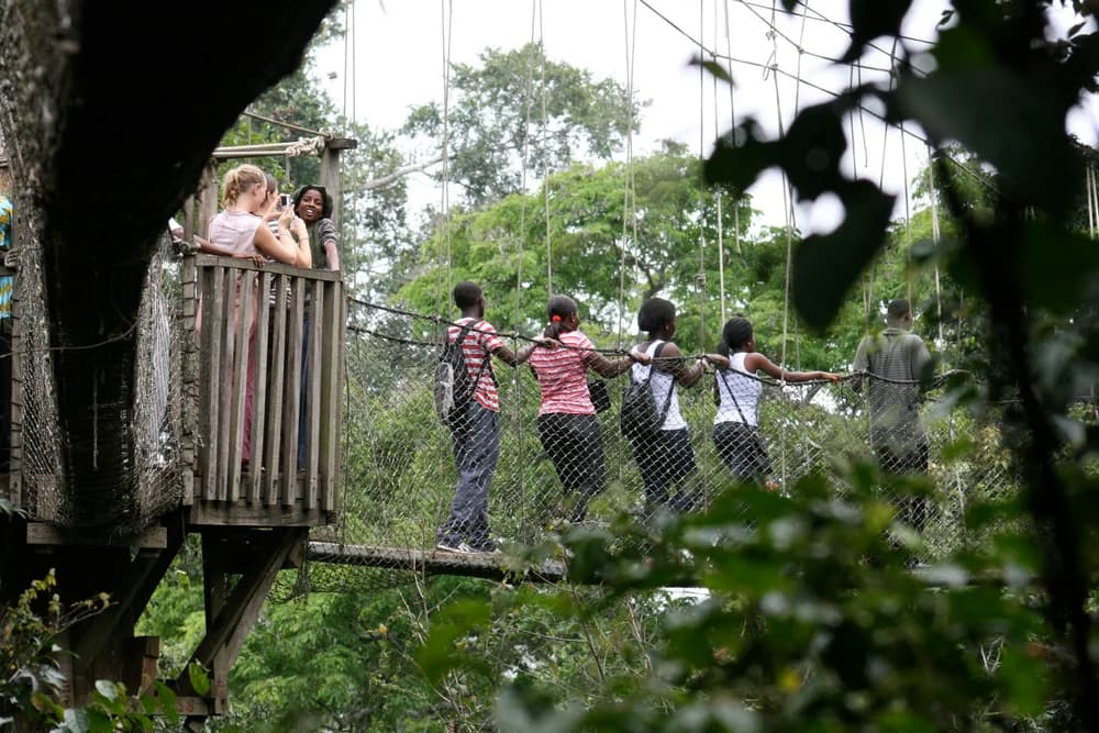 Kakum National Park Day Tour