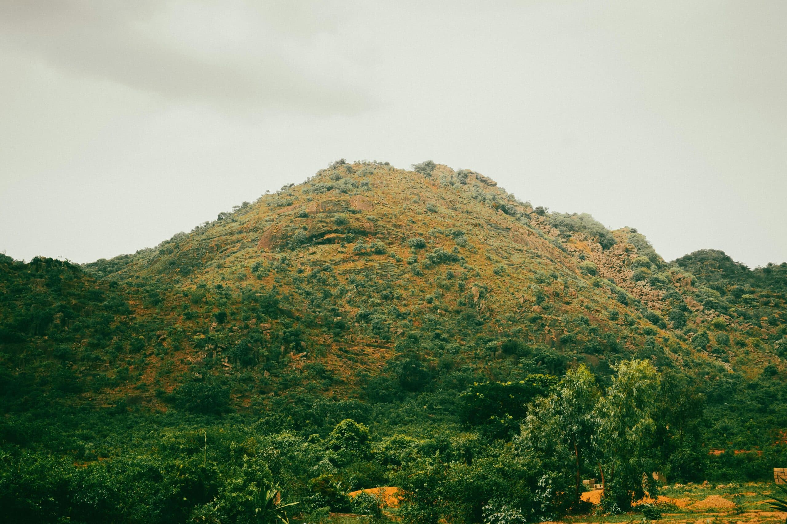 The Volta Nature Experience image 2