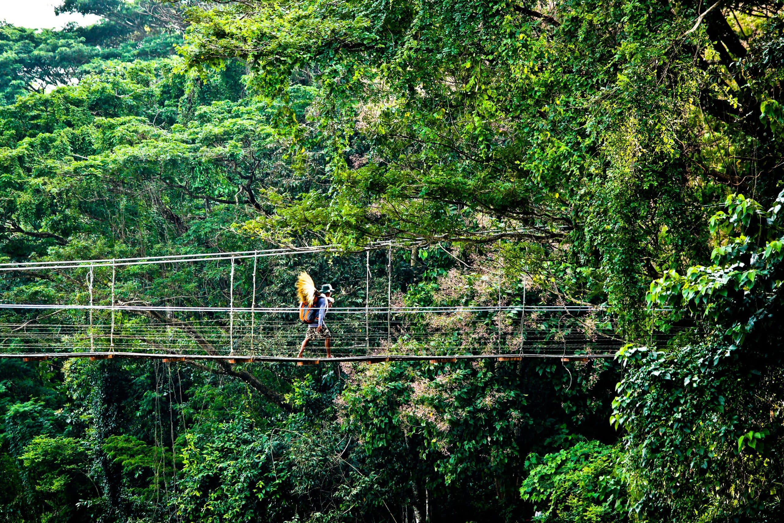Kakum National Park Day Tour image 3